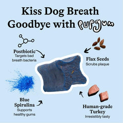 Spot & Tango PupGum close-up of turkey flavor chews for daily dental care.
