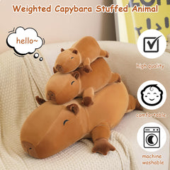 SQEQE Weighted Capybara Plush, 13.8-inch size, doubles as a soft reading pillow.