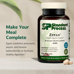 Zypan HCI-coated-pancreatin helps maintain a stable digestive environment.