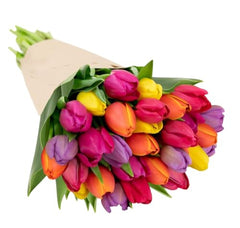 Stargazer Barn rainbow tulips bouquet brightens birthdays and celebrations at home