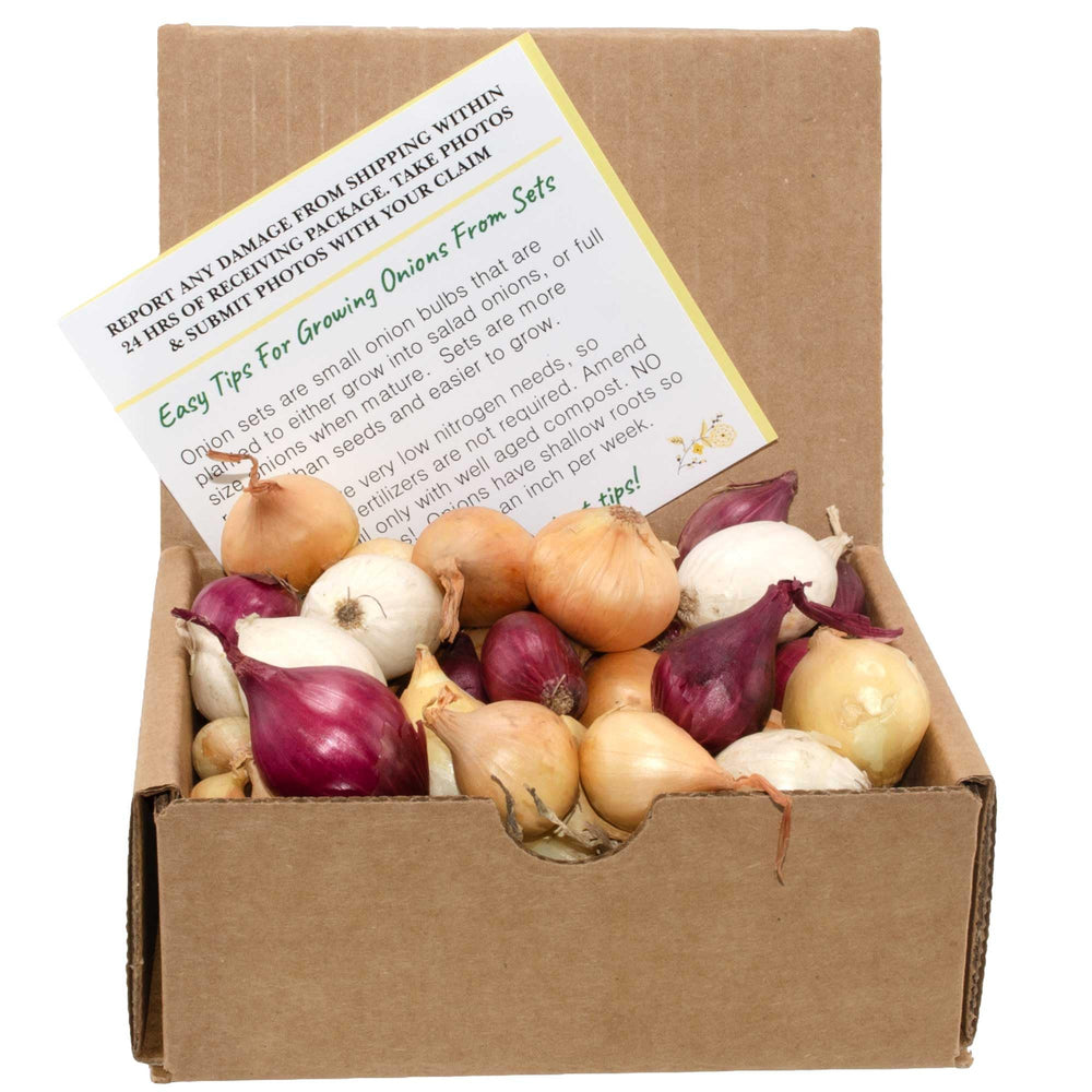 Stargazer Perennials mixed onion sets in red, white, and yellow for garden variety and fresh flavors.