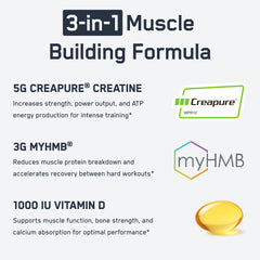 SteelFit Creatine HMB powder dissolving in a glass of water.