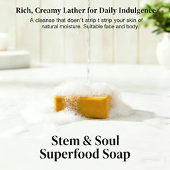 Stem and Soul turmeric lemon soap bar rich lather demonstrates effective cleansing without drying