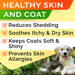 StrellaLab dog coat glow after applying salmon oil
