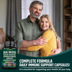StrongVit Sea Moss ginger root view highlights zesty spice for potential everyday energy support.