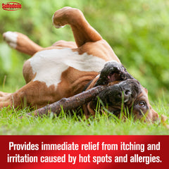 Sulfodene with aloe vera moisturizes irritated areas on dogs.