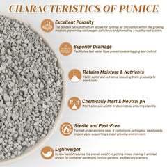 Sumloty pumice in orchid potting mix enhancing aeration and drainage