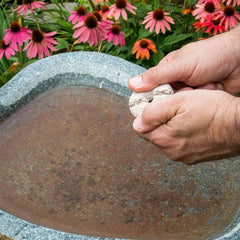 Summit Mosquito Dunks carry an organic gardening label for eco-friendly use