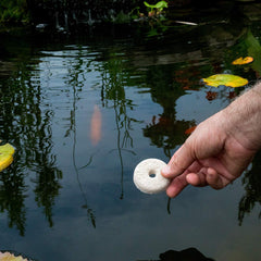 Summit Mosquito Dunks being applied to a pond for easy water treatment