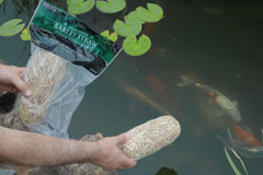 Pond water appears clearer after Summit barley straw treatment.
