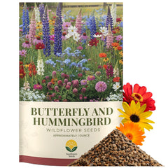 SunHaven Seeds butterfly and hummingbird wildflower mix packet attracting butterflies to your garden.