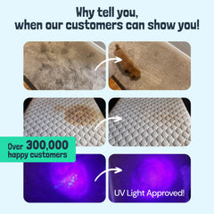 Sunny & Honey carpet cleaner label close-up highlights biodegradable formula