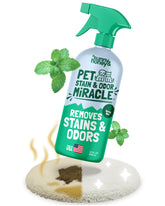 Sunny and Honey Pet Stain and Odor Remover bottle cleans deep into fibers for lasting freshness.