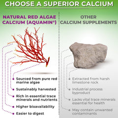 SUPPLEMENTS STUDIO Aquamin calcium magnesium d3 k2 tablets promote mineral balance.