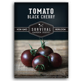 Survival Garden Seeds Black Cherry Tomato seeds – seedling-ready for vibrant, sun-loving vines.