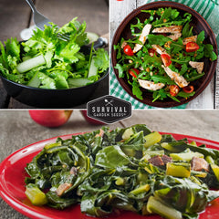 SURVIVAL GARDEN SEEDS garden bed planting-ready greens for salads.