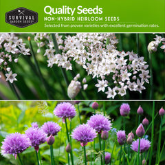 SURVIVAL GARDEN SEEDS garlic chives seeds flat leaves with mild garlic flavor for meals