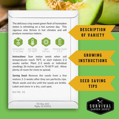 Survival Garden Seeds Ground Cherries seeds ideal for snacks and garden beds.