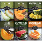 Survival Garden Seeds Honey Rock cantaloupe seeds for planting and sweet homegrown harvests.