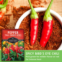 Survival Garden Seeds hot red peppers drying for shelf spice and flavor.