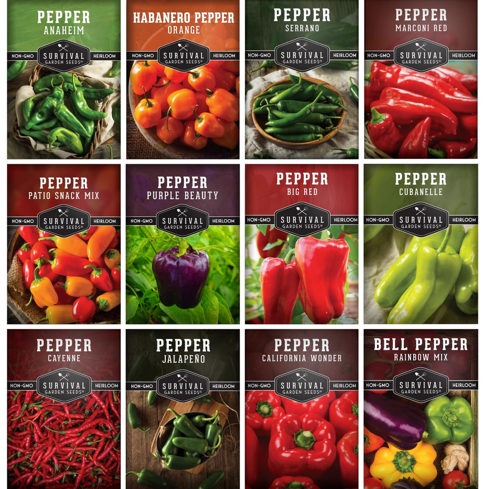 Survival Garden Seeds jalapeño peppers for fresh harvest and zesty meals