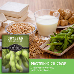 SURVIVAL GARDEN SEEDS soybean-plants-20-24in compact growth for small gardens