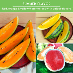 SURVIVAL GARDEN SEEDS Tendersweet Orange seeds packet with unique orange flesh.