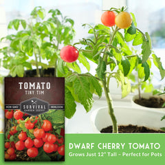 Survival Garden Seeds Tiny Tim close-up shows bright red fruit with juicy, crisp bite.