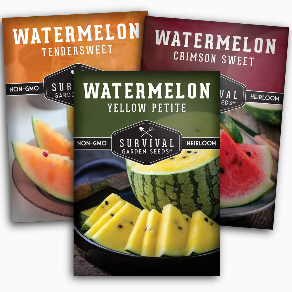 SURVIVAL GARDEN SEEDS tri-color watermelon patch showing diverse harvest possibilities for home gardens.