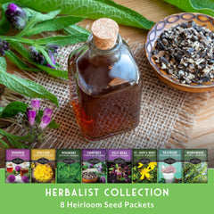Survival Garden Seeds valerian-root close-up for relaxing herbal remedies