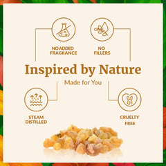 SVA Frankincense oil in diffuser releasing calming pine scent