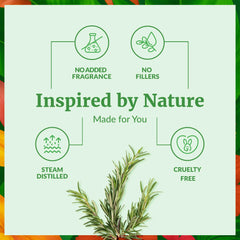 Room diffuser with SVA Rosemary Oil creates a refreshing aromatic ambiance.