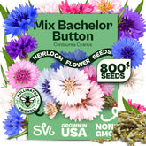 SVI Bachelor Button seeds yield vibrant multi-color blooms for borders.