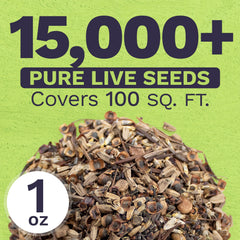 Sweet Yards 22-species native wildflowers for a regional meadow look