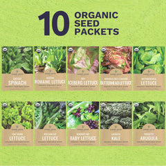 Sweet Yards Buttercrunch Lettuce seed packet ideal for crispy salads