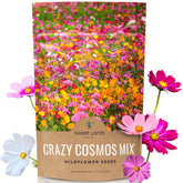 Sweet Yards Cosmos Seeds bulk bag shows vibrant garden color potential