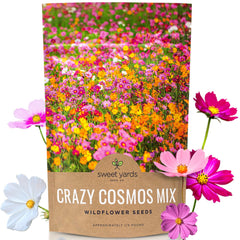Sweet Yards Cosmos Seeds bulk bag shows vibrant garden color potential