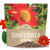 SWEET YARDS Mexican Sunflower seeds in an extra large packet for easy garden coverage.