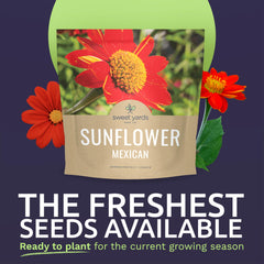 SWEET YARDS seed packet close-up highlighting seed count and freshness.