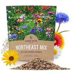 Sweet Yards Northeast wildflower seeds front label for planning your garden.