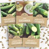 Sweet Yards Marketmore 76 cucumber seeds for reliable, high-yield home gardens.