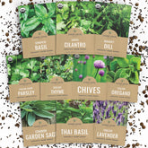 Sweet Yards Genovese Basil seeds for fresh garden basil and garnishes.
