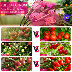 SYEIORAOM white and red LED beads for balanced plant lighting.