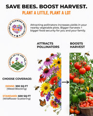 Tactiko Survival garden seeds closeup showing diverse annuals and perennials