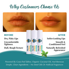 Tallowbourn lip balm ingredients coconut oil and beeswax for a clean feel