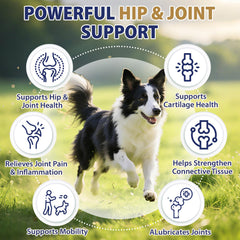 Tciika organic hemp oil dog supplement soothes inflammation during walks