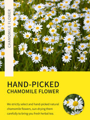 TeeLux Chamomile tea bags packaging highlights eco-friendly, compostable bags and fresh quality.