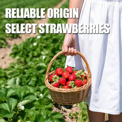 Ternio premium freeze-dried strawberries ideal for baking desserts and toppings.
