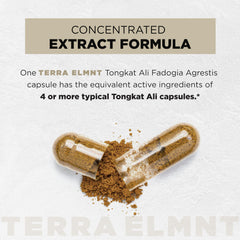 Terra Elmnt Tongkat Ali with 10% Eurycomanone for potent male wellness.