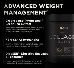 Terra Elmnt ELMNT Burn box features DigeSEB digestive enzymes for gut health